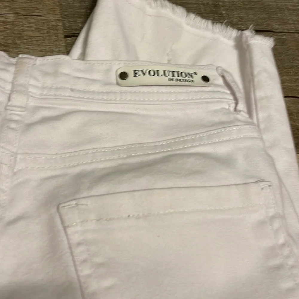 Evolution in Design - Picture 3 of 8